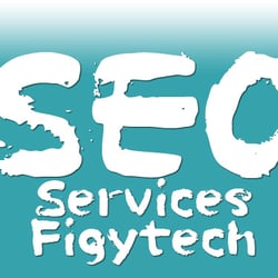 Figytech - Search Engine Optimizaion