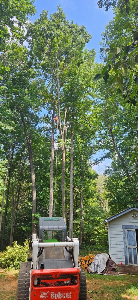 Community 1st Tree Service - tree service in Charlotte, NC