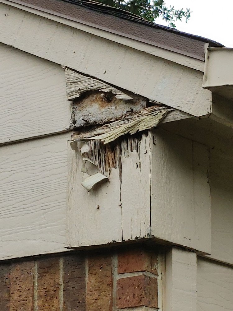 LEI HOME ENHANCEMENTS Updated October 2024 11 Photos Hurst, Texas