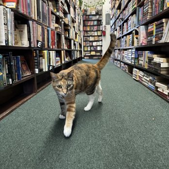 Dave's Olde Book Shop - Bookstores Near Me - Redondo Beach, California Dave's Olde Book Shop - Bookstores Near Me - Redondo Beach, California