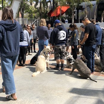 K9 Logic Dog Training - Huddle at the end of training. - Pet Training Near Me - Glendale, California