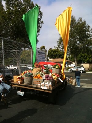 La Jolla Open Aire Farmers Market by null