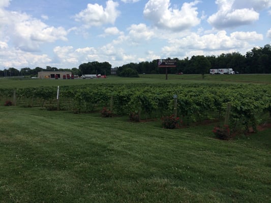 Beachaven Vineyards & Winery by null