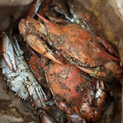 Blakes Crab House - Large male crabs