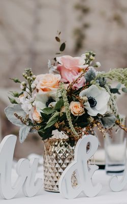 Green Garden by null