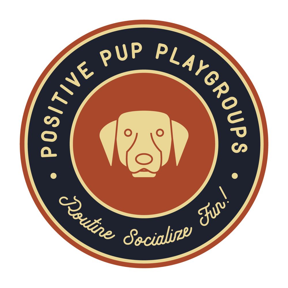 POSITIVE PUP PLAYGROUPS Updated August 2024 10 Photos Yonkers, New York Dog Walkers