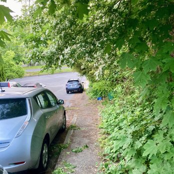Low Rate Hauling & Yard Clean Up - One before picture - Junk Removal & Hauling Near Me Low Rate Hauling & Yard Clean Up - One before picture - Junk Removal & Hauling Near Me