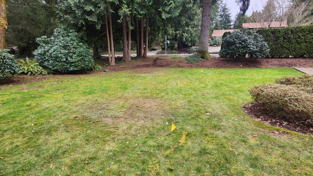 Slide of Professional Plumbing