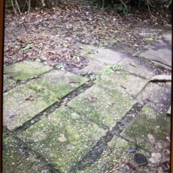 Lumos Real Estate - Dog poop - Property Management Near Me - Pittsburgh, Pennsylvania Lumos Real Estate - Dog poop - Property Management Near Me - Pittsburgh, Pennsylvania