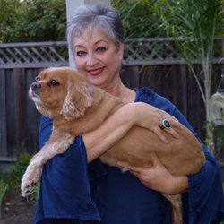 Therapeutic Tarot by Gloria - Gloria and Gracie