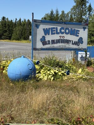 Wild Blueberry Land by null