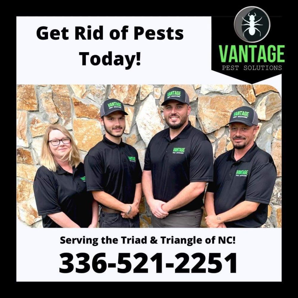 VANTAGE PEST SOLUTIONS Updated September 2024 17 Photos Lexington