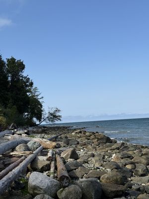 Pacific Spirit Regional Park by null