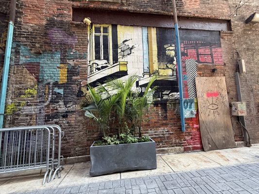 Library Street Collective by null