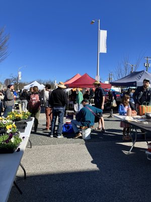 32nd Street Farmers Market by null
