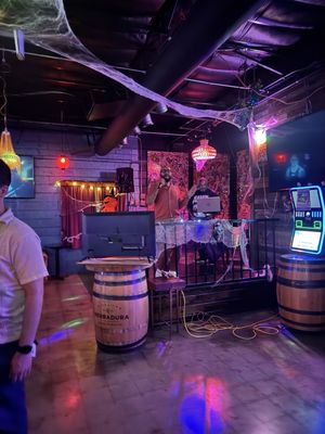 The Grapevine Bar by null