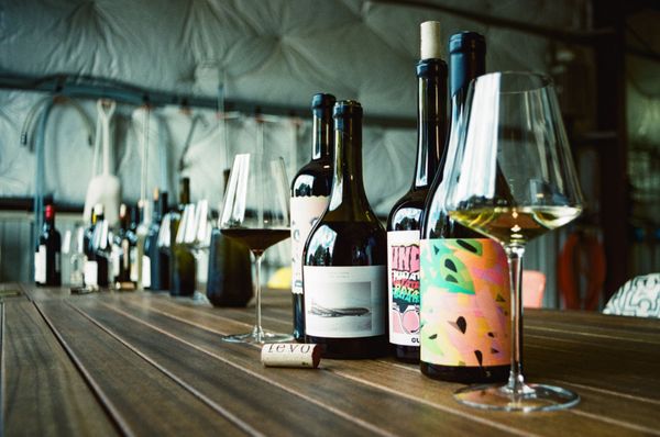Levo Wine by null