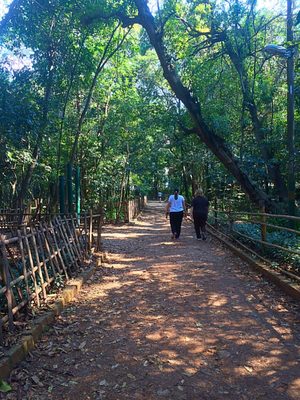Parque da Independência by null