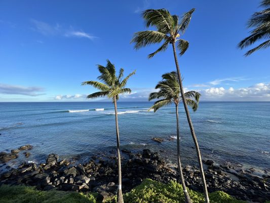 Noelani Condominium Rental Association by null