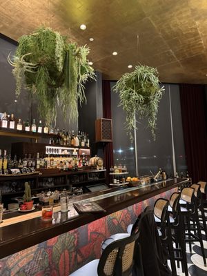 The Lymbar by null