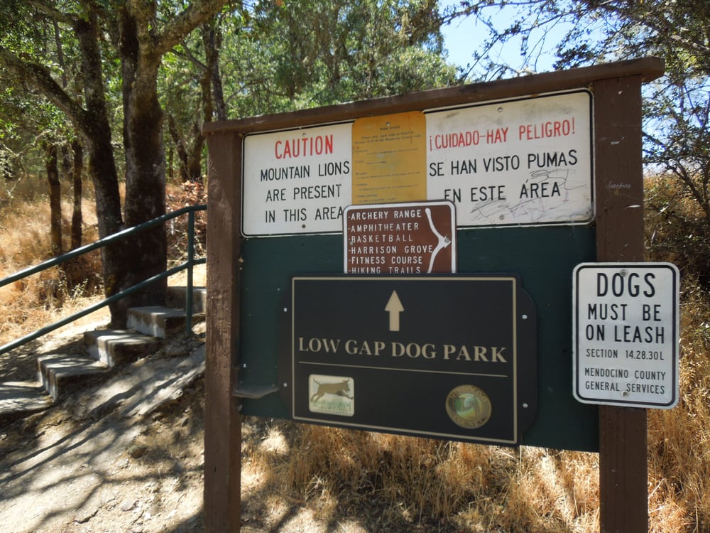 LOW GAP DOG PARK Updated May 2024 64 Photos & 16 Reviews 1167 Low