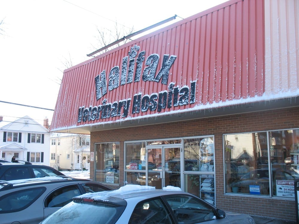 HALIFAX VETERINARY HOSPITAL Updated September 2024 19 Photos & 19