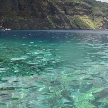 Kealakekua Bay - Beaches Near Me Kealakekua Bay - Beaches Near Me