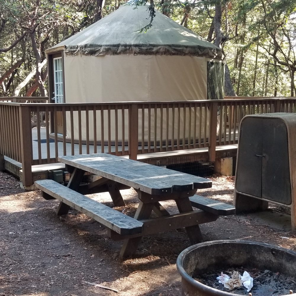 Mount Madonna County Park - The whole site gets you big picnic table, fire ring, food locker, 2 parking spaces, and yurt. - Parks Near Me - Watsonville, California Mount Madonna County Park - The whole site gets you big picnic table, fire ring, food locker, 2 parking spaces, and yurt. - Parks Near Me - Watsonville, California