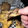Doomie's Home Cookin' gift card