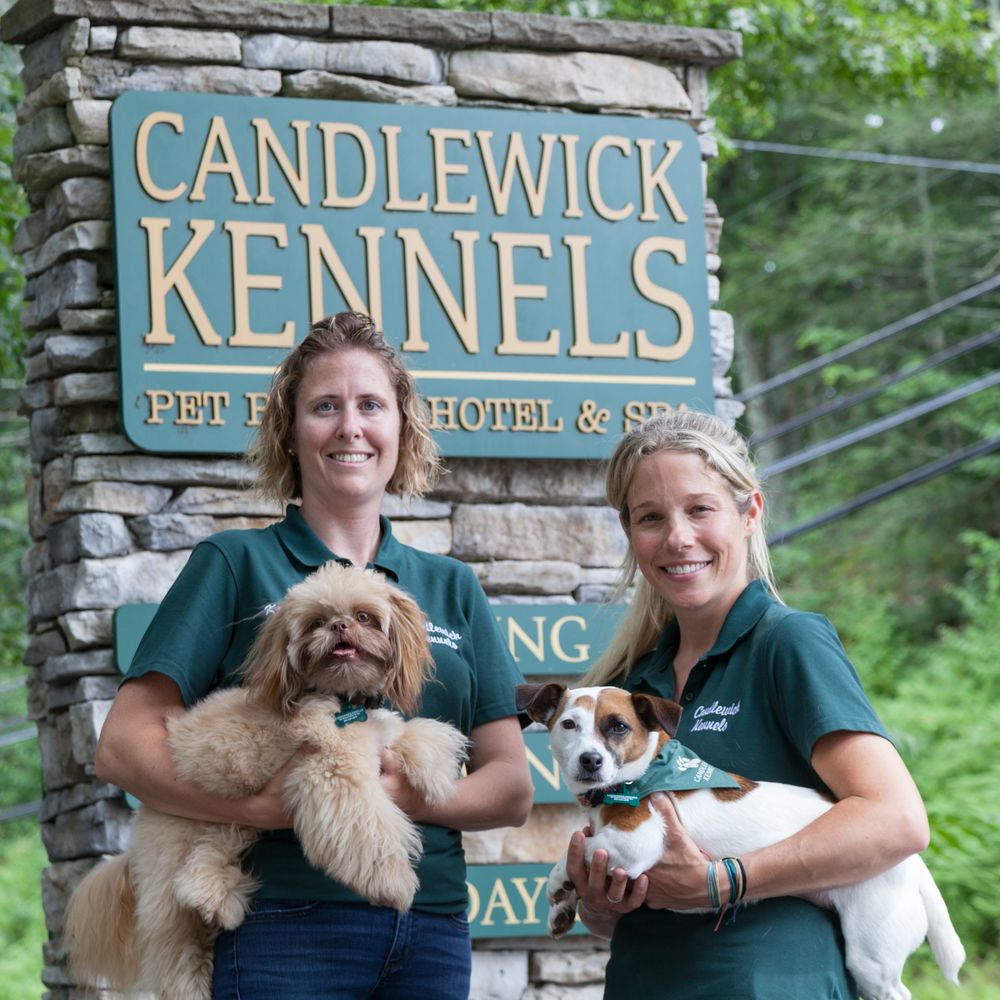 TOP 10 BEST Dog Boarding in Glastonbury, CT - December 2023 - Yelp