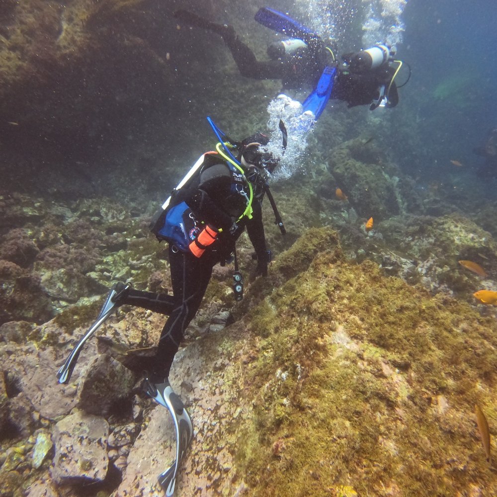 Scuba - Isaac at "Key Hole" at Los Coronado Islands - Scuba Diving Near Me - Costa Mesa, California Scuba - Isaac at "Key Hole" at Los Coronado Islands - Scuba Diving Near Me - Costa Mesa, California