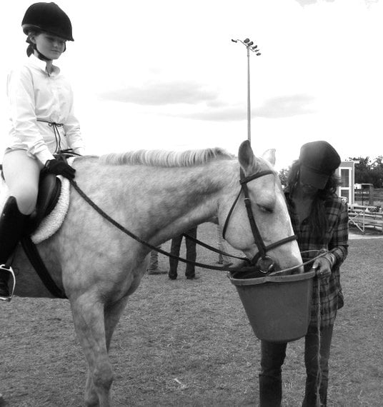 FANTASY FARMS EQUESTRIAN CENTER Updated September 2024 15 Photos