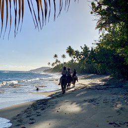 Horseback riders on Coconut beach Horseback riders on Coconut beach