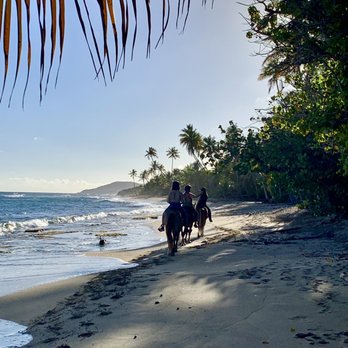 The Vieques Guesthouse - Horseback riders on Coconut beach - Guest Houses Near Me - Vieques, Puerto Rico The Vieques Guesthouse - Horseback riders on Coconut beach - Guest Houses Near Me - Vieques, Puerto Rico