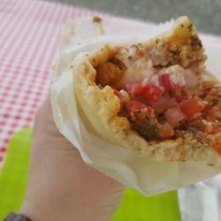 Zorba On The Run - Eggplant wrap
