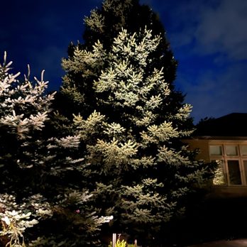 Custom Irrigation and Lighting - Uplighting and pathway lighting to provide safety at your front entrance - Landscaping Near Me Custom Irrigation and Lighting - Uplighting and pathway lighting to provide safety at your front entrance - Landscaping Near Me
