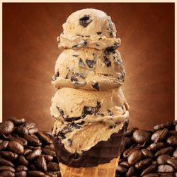 Handel's Ice Cream - Canfield - Coffee Chocolate Chip