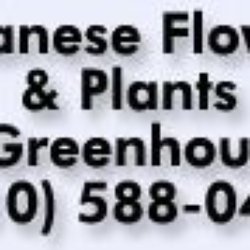 Albanese Florist & Greenhouses
