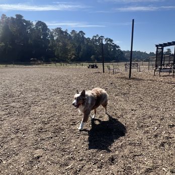 Cambria Dog Park - Dog Parks Near Me - Cambria, California Cambria Dog Park - Dog Parks Near Me - Cambria, California