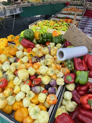 Campbell Farmer's Market by null