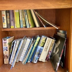 Little Free Library