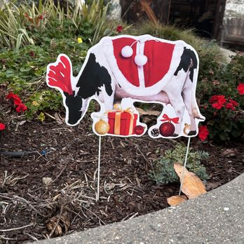 Harmony Valley Creamery - Ice Cream & Frozen Yogurt Near Me - Harmony, California