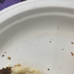 Disgusting gray hair found in my food. Unfortunately didn't get a photo of the crunchy bug I pulled out of my mouth. Disgusting gray hair found in my food. Unfortunately didn't get a photo of the crunchy bug I pulled out of my mouth.