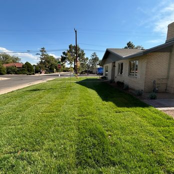 Sprinkler Experts - Irrigation Near Me