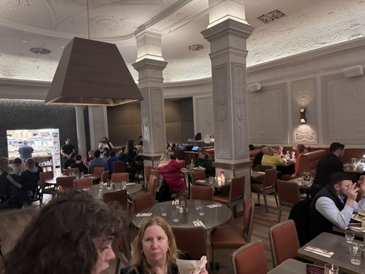 Gayle's Broadway Rose by null