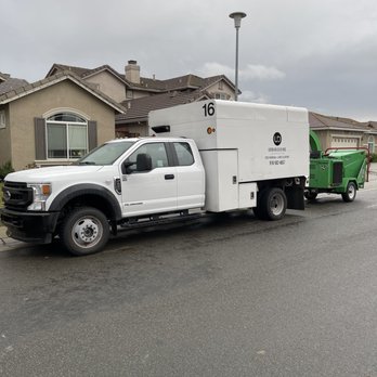 Divine Tree Service - Tree Services Near Me Divine Tree Service - Tree Services Near Me