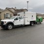 Photo of Divine Tree Service