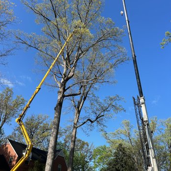 McCoy's Services - Tree Services Near Me - Statesville, North Carolina McCoy's Services - Tree Services Near Me - Statesville, North Carolina