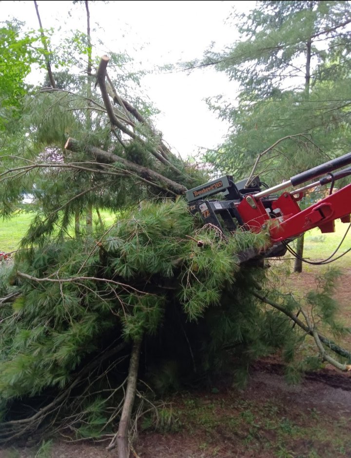 Slide of Jamie VanEtten