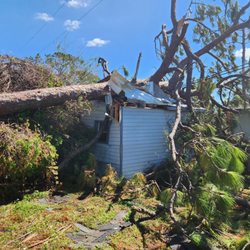 Teds Sheds - Hurricane IAN strikes our North Port shed. Withstood the 150 MPH winds.....but not the many ton 70 plus foot multi ton tree.